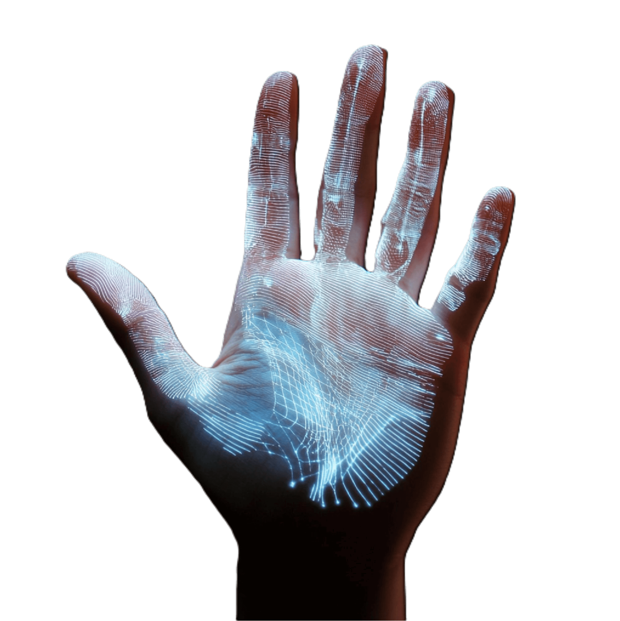 Palm Biometric Scan